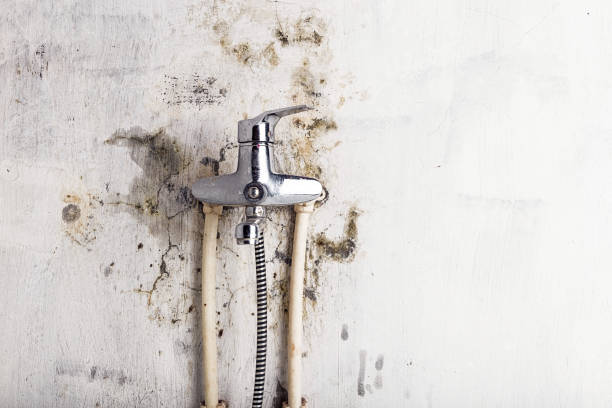 Philipsburg, PA Mold Removal Company