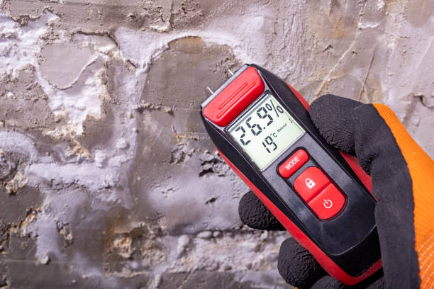 Best Mold Testing  in Philipsburg, PA