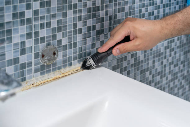 Home Mold Removal in Philipsburg, PA