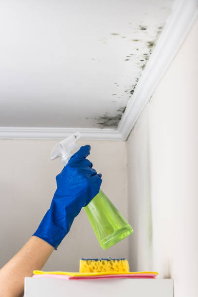 Best Crawl Space Mold Removal  in Philipsburg, PA